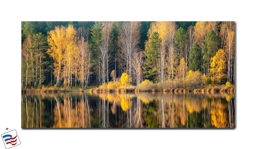 Autumn Reflections - A Tranquil Lakeside Scene