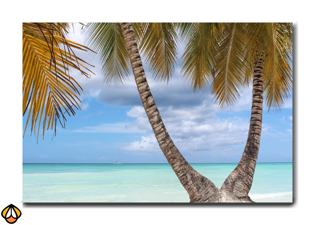 Paradise View - Premium Wall Art