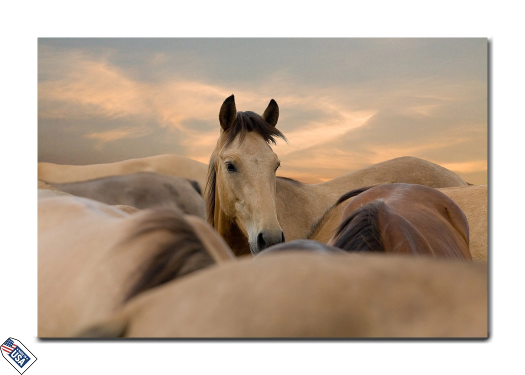 Gentle Focus - A Moment of Equine Serenity